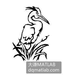 （1）读入图像并显示。